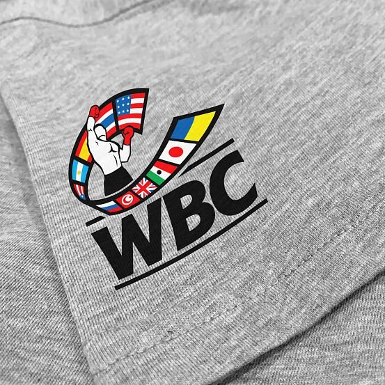 阿迪达斯上衣短袖T 恤 WBC 希望拳击冠军 adiWBCT06