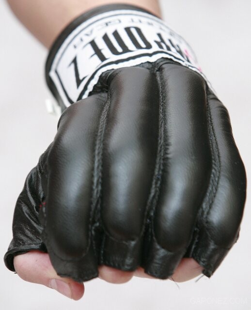 Gaponez MMA Gloves GMFL