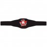 WWE Spinning Championship Kid Size Replica Belt WWEBK27