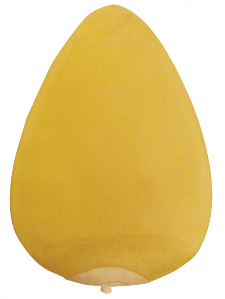 Everlast Latex Speed Bag Bladder EVLSBB 4234 from Gaponez Sport Gear