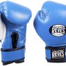 Cleto Reyes Boxing Gloves Kids CRYG