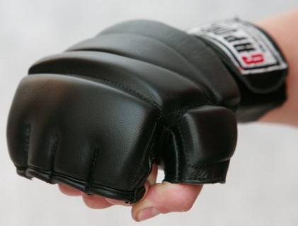 Gaponez MMA Gloves GMCN