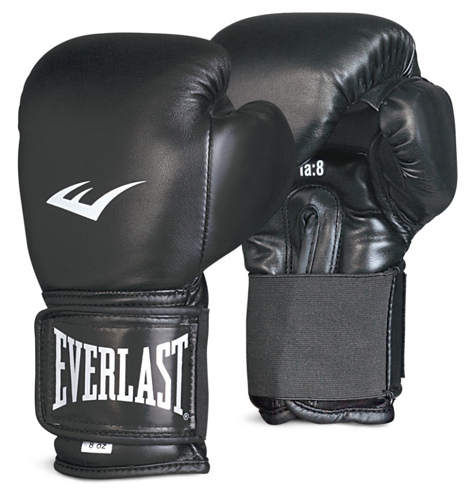 Everlast Boxing Gloves Training Sparring Muay Thai Style EVMTTG2 ...