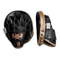 Flamma Mitones de Boxeo Élite de Oro FLM-21
