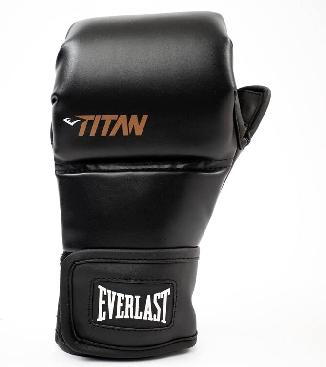Everlast MMA Тренировочные Перчатки Titan Hybrid EMTH