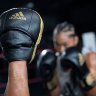 Adidas Boxing Punch Mitts Pro Speed adiPFP01PRO