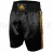 Adidas_Boxing_Shorts_Multi_Black_Gold_Color_ADISMB01.jpg