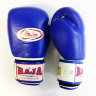 Raja Boxing Gloves Hook-and-Loop RBGV-1B