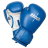 Clinch Boxing Gloves Fight 2.0 C137