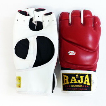 Raja Martial Arts Gloves RGG-3