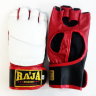 Raja Martial Arts Gloves RGG-3