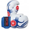 Top Ten Boxing Gloves Tribal 2049-1