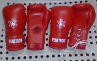 Gaponez Boxing Mini Gloves Custom
