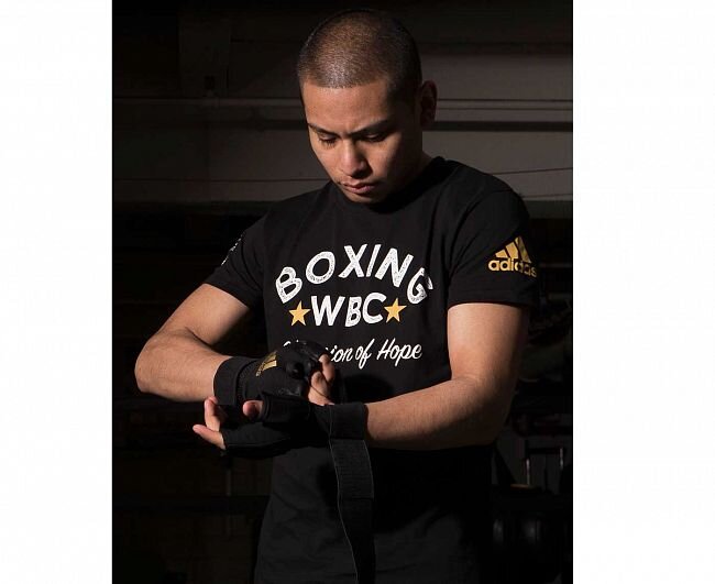 阿迪达斯上衣短袖拳击 T 恤 WBC 希望冠军 adiWBCTB01