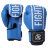 Fight Expert Boxing Gloves Function BGZ-10
