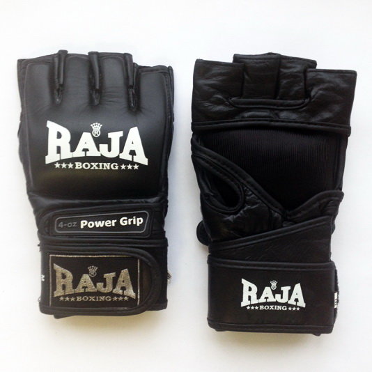 Raja Martial Arts Gloves RGG-5