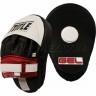 Title Boxing Punch Mitts Gel® Contoured GCPPM