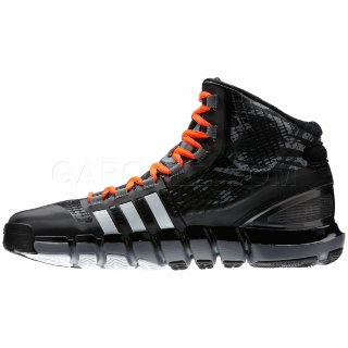 Adidas Баскетбольная Обувь Adipure Crazyquick Свинцовый Цвет Q33456