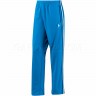 Adidas_Originals_Trousers_Firebird_Track_Pants_Bluebird_Royal_Color_G76232_01.jpg