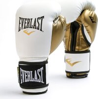 Everlast Boxing Gloves from Gaponez Sport Gear