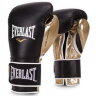 Everlast Boxing Gloves Powerlock PU EPPU