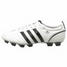 Adidas_Soccer_Shoes_adiPure_TRX_FG_661806_1.jpeg