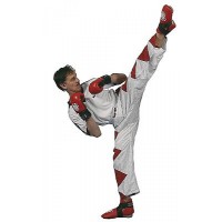 Top Ten Кик-Боксерские Штаны Champ 1611-4