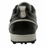 Adidas_Soccer_Shoes_adiPure_TRX_TF_915356_2.jpeg