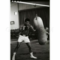 Everlast Плакат Muhammad Ali 78x59см EP1