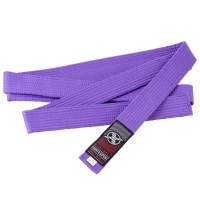 Fight Expert 武术腰带 BBZ