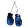 Gaponez Boxing Mini Gloves GMGM