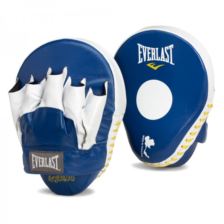 Everlast Boxing Punch Mitts EVTHPM1