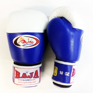 Raja Боксерские Перчатки Bicolor RBGV-2A