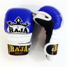 Raja Martial Arts Gloves RGG-1