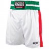 Ringside Boxing Shorts Pro-Style PST
