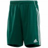 Adidas_Soccer_Equipo_Shorts_E14352_1.jpeg