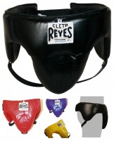 Cleto Reyes 拳击腹股沟警卫队 REFPT