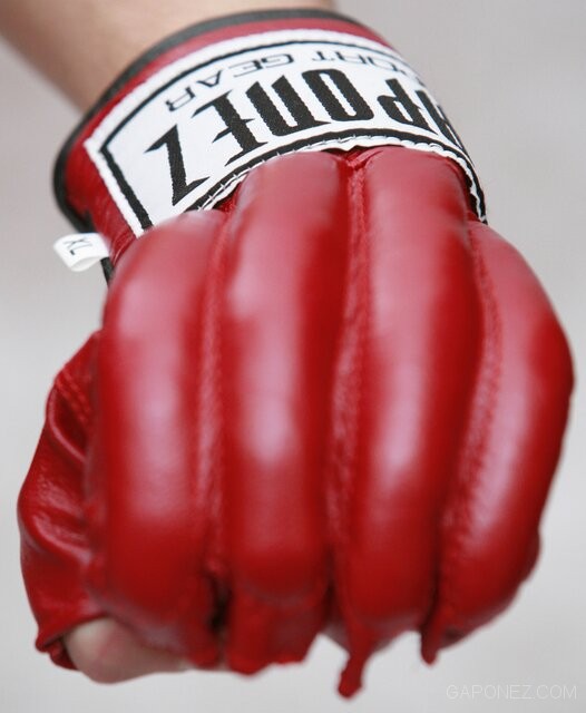 Gaponez MMA Gloves GMFL
