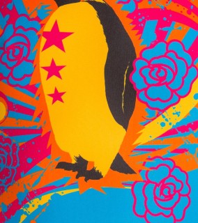 涡轮游泳女式宽肩带泳衣 Pingu 894321