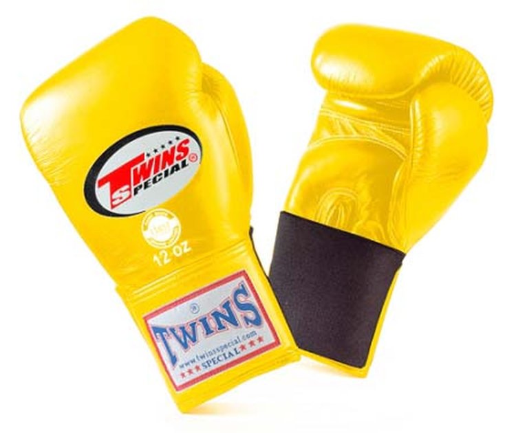 Twins Boxing Gloves BGEL1