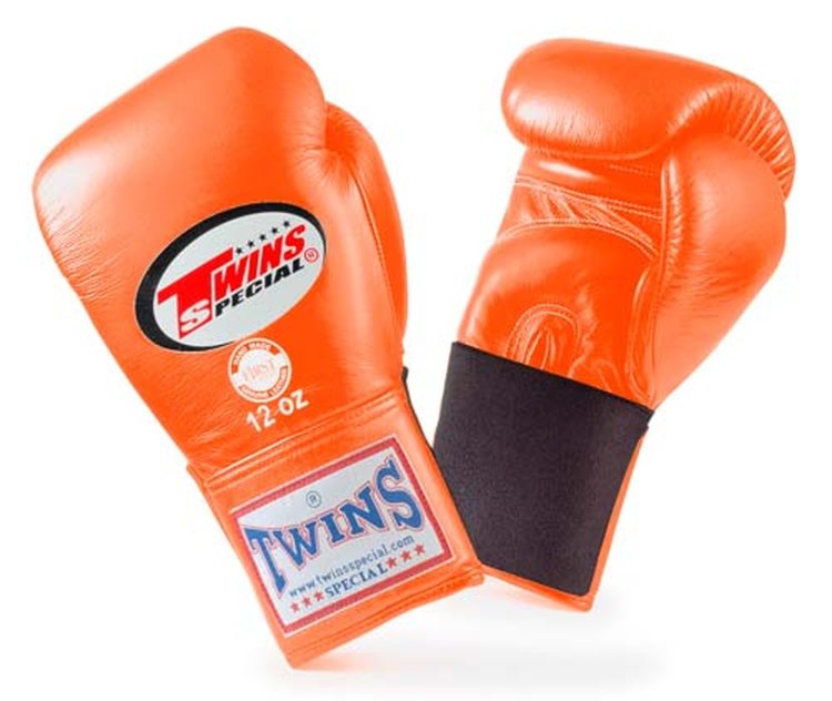 Twins Boxing Gloves BGEL1