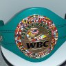 Чемпионский Мини-Пояс WBC 