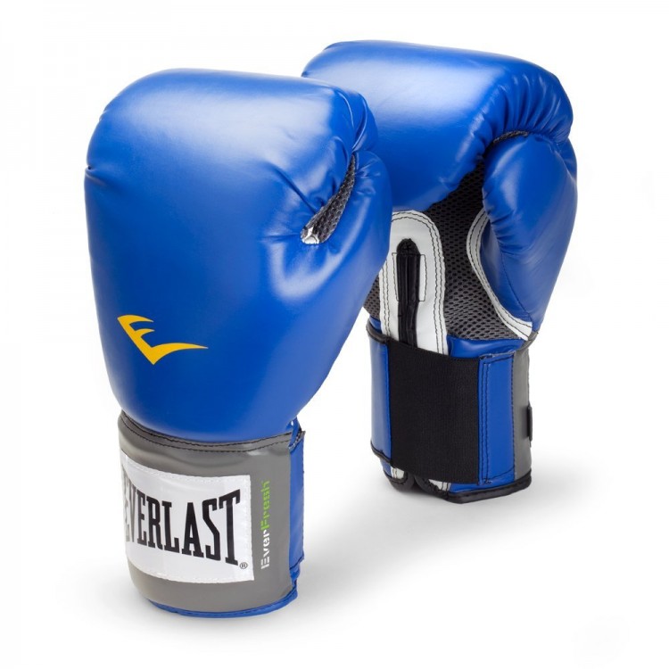 Everlast Boxing Gloves HP EVVTG