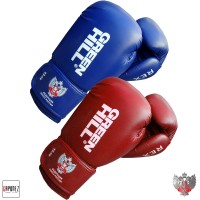 Green Hill Boxing Gloves Rex BGR-2272