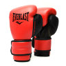 Everlast Boxing Gloves Powerlock2 ETPL