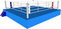 Top Ten Boxing Ring IBA 907-0780