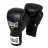 Everlast Boxing Gloves ETGV