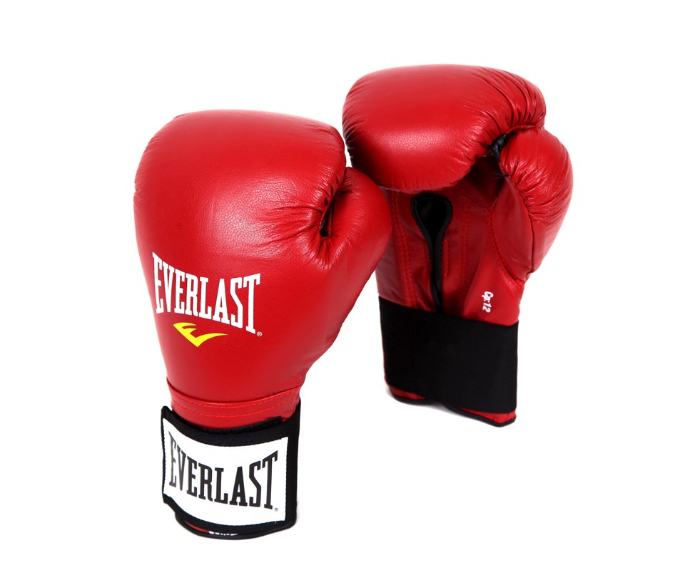 Everlast Boxing Gloves ETGV from Gaponez Sport Gear