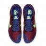 Nike Track Spikes Zoom Rival D 10 907566-600