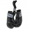 Everlast Novelties Mini Boxing Gloves EVBGSR